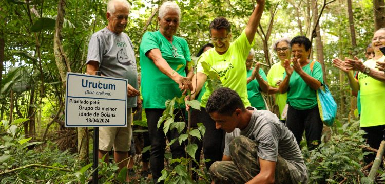 Turma da Melhor Idade e Projeto de Ginástica da Prefeitura de Goianá visitam reserva ecológica e realizam plantio de árvores