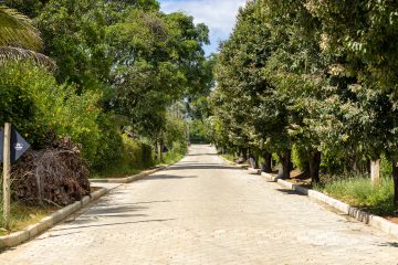 TRABALHO QUE GERA RESULTADOS: MAIS INFRAESTRUTURA E QUALIDADE DE VIDA PARA GOIANÁ